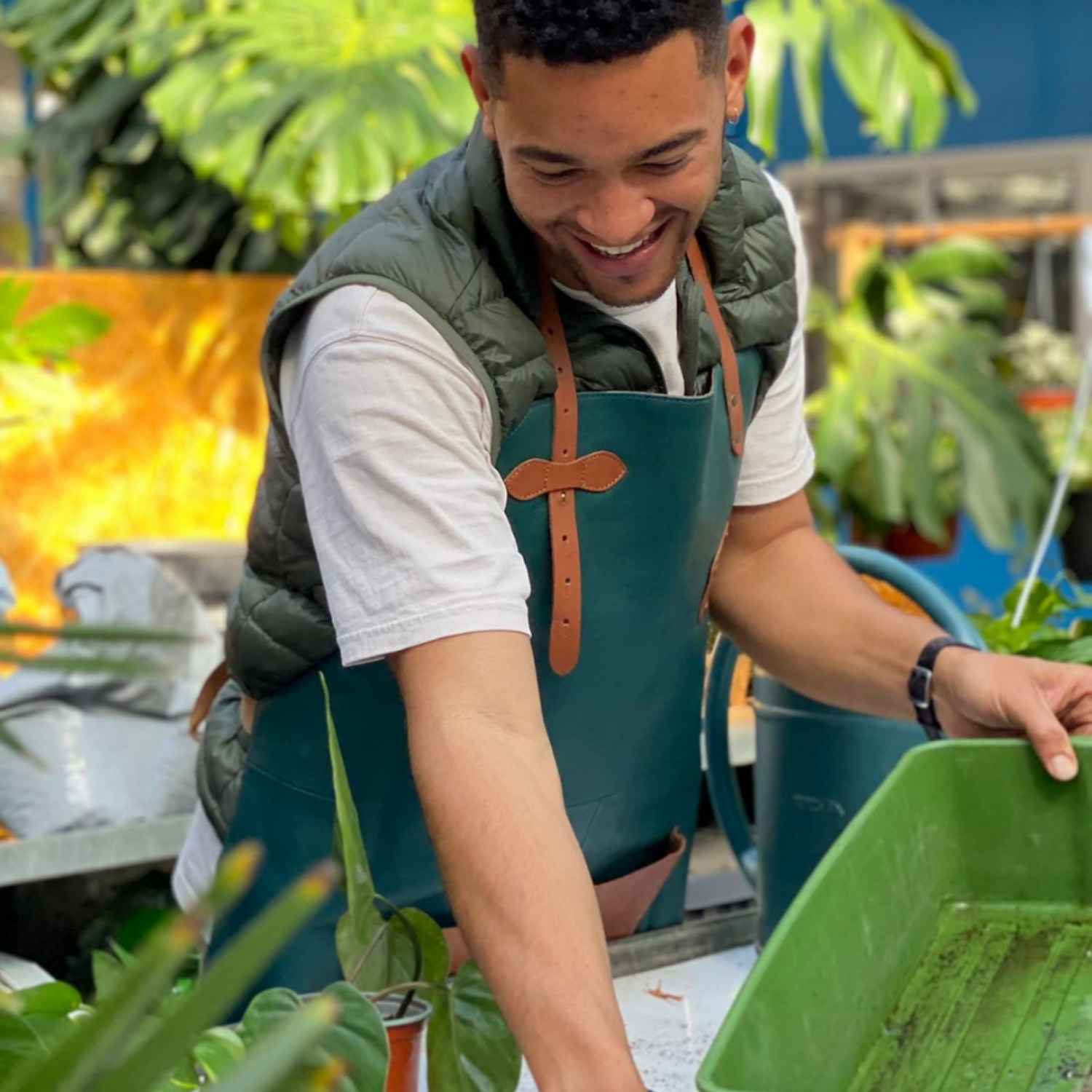 DOCTEUR PLANTES