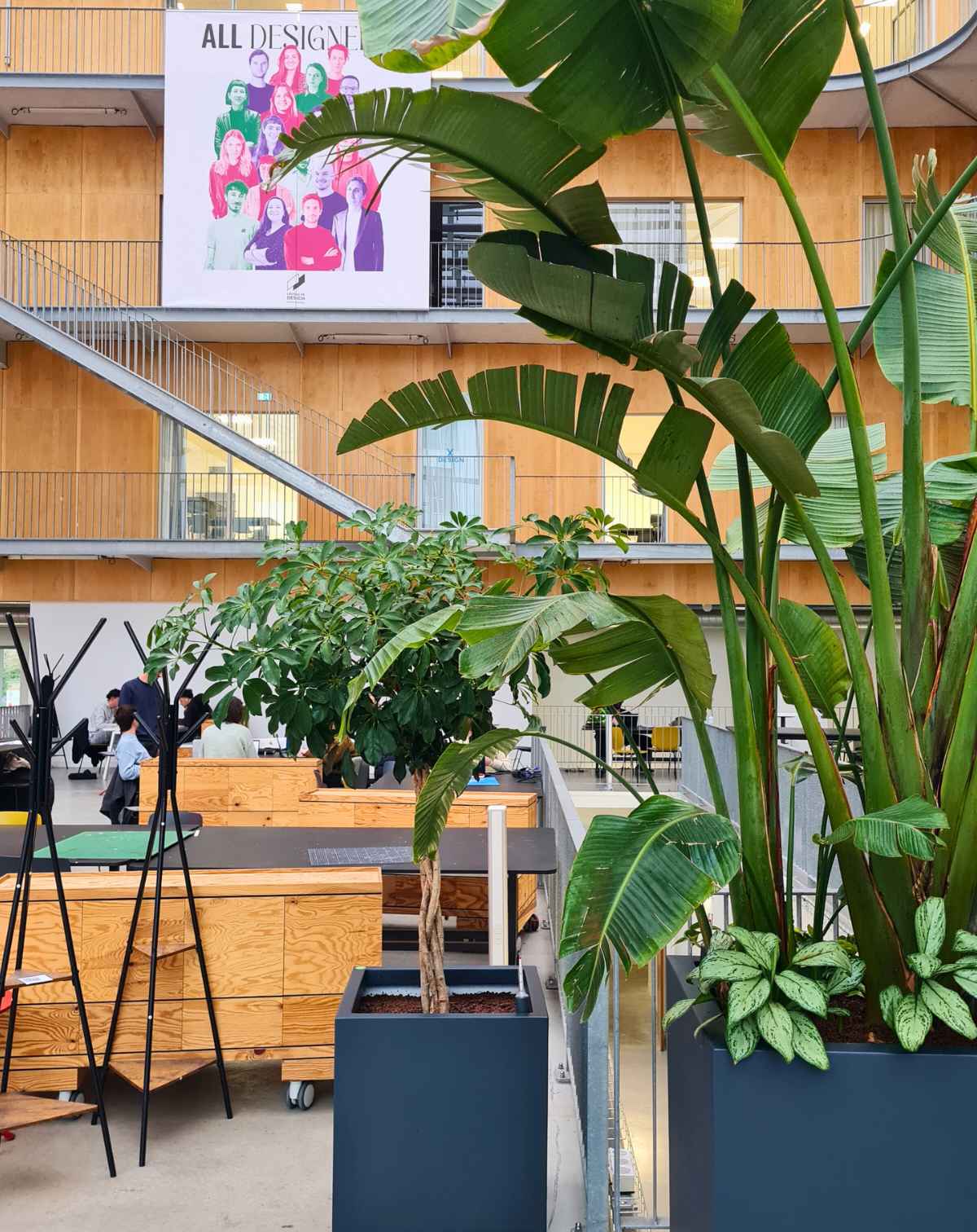 Végétalisation de bureaux et lieux de vie sur mesure